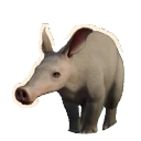 Albino Aardvark colour morph in Planet Zoo 2