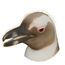Albino African Penguin colour morph in Planet Zoo 2