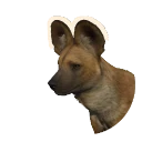 Spotless African Wild Dog colour morph in Planet Zoo 2