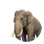 Asian Elephant in Planet Zoo 2