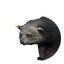 Binturong in Planet Zoo 2
