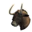 Black Wildebeest in Planet Zoo 2