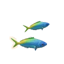 Blue and Gold Fusilier in Planet Zoo 2