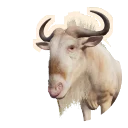 Albino Blue Wildebeest colour morph in Planet Zoo 2