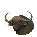 Cape Buffalo in Planet Zoo 2