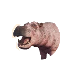 Leucistic Common Hippopotamus colour morph in Planet Zoo 2