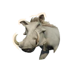 Leucistic Common Warthog colour morph in Planet Zoo 2