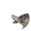 Diamondback Terrapin in Planet Zoo 2