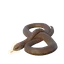 Eastern Brown Snake in Planet Zoo 2