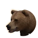 Eurasian Brown Bear in Planet Zoo 2