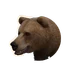 Eurasian Brown Bear in Planet Zoo 2