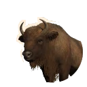 European Bison in Planet Zoo 2
