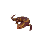 Albino Fire Salamander colour morph in Planet Zoo 2