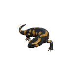 Fire Salamander in Planet Zoo 2