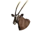 Gemsbok in Planet Zoo 2