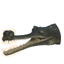Gharial in Planet Zoo 2