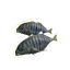Golden Trevally in Planet Zoo 2