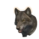 Melanistic Grey Wolf colour morph in Planet Zoo 2