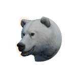 Leucistic Grizzly Bear colour morph in Planet Zoo 2