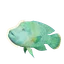 Humphead Wrasse in Planet Zoo 2
