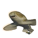 Lighter Variation Indo-Pacific Leopard Shark colour morph in Planet Zoo 2