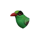 Javan Green Magpie in Planet Zoo 2
