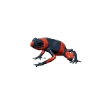 Lehmann's Poison Frog in Planet Zoo 2