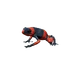 Lehmann's Poison Frog in Planet Zoo 2