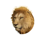 Lion in Planet Zoo 2