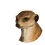 Meerkat in Planet Zoo 2