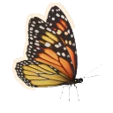 Monarch in Planet Zoo 2