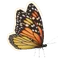 Monarch in Planet Zoo 2