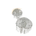 Moon Jelly in Planet Zoo 2