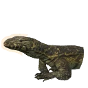 Nile Monitor in Planet Zoo 2