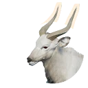 Leucistic Nyala colour morph in Planet Zoo 2
