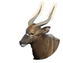 Nyala in Planet Zoo 2