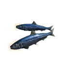 Pacific Sardine in Planet Zoo 2
