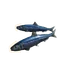 Pacific Sardine in Planet Zoo 2