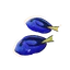 Palette Surgeonfish in Planet Zoo 2