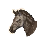 Part Melanistic Plains Zebra colour morph in Planet Zoo 2