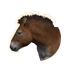Przewalski's Horse in Planet Zoo 2