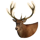 Red Deer in Planet Zoo 2