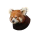Red Panda in Planet Zoo 2