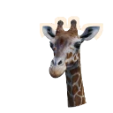 Reticulated Giraffe in Planet Zoo 2