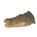 Saltwater Crocodile in Planet Zoo 2