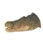 Saltwater Crocodile in Planet Zoo 2