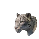 Snow Leopard in Planet Zoo 2