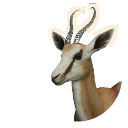 King Morph Springbok colour morph in Planet Zoo 2