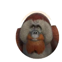 Sumatran Orangutan in Planet Zoo 2