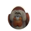 Sumatran Orangutan in Planet Zoo 2